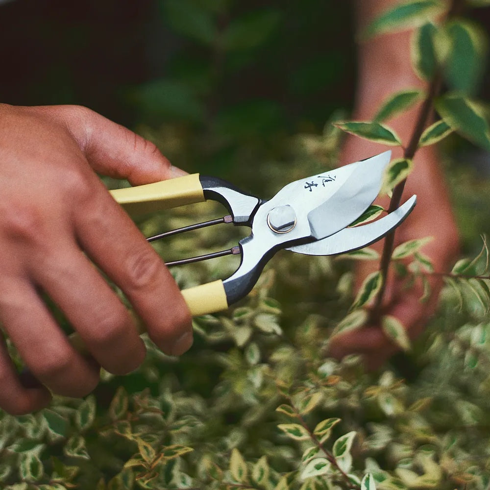 Niwaki GR Pro Secateurs – Right-Handed Standard Size