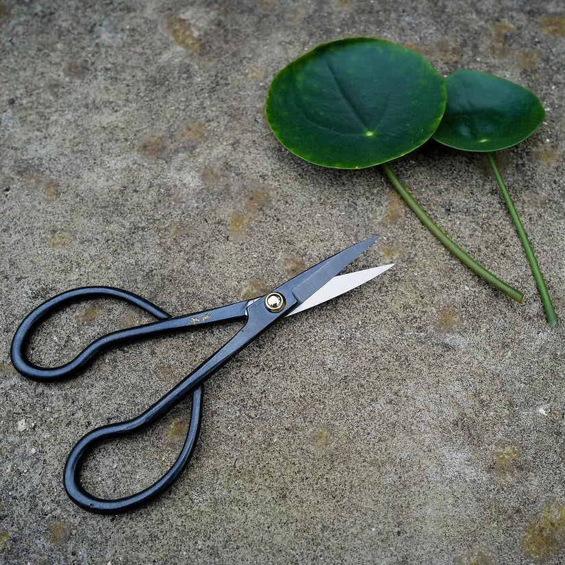 Niwaki Higurashi Snips