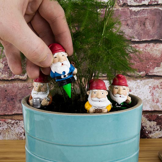 Mini Plant Pot Gnomes