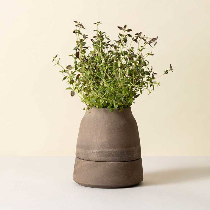 Bergs Potter Viva Self-Watering Pot