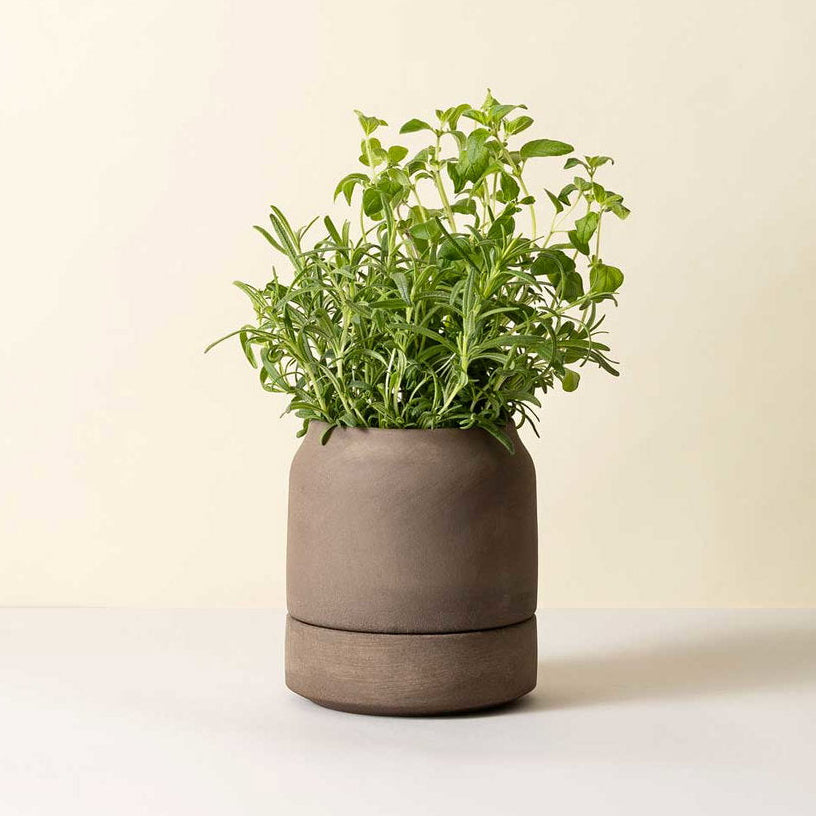 Bergs Potter Viva Self-Watering Pot