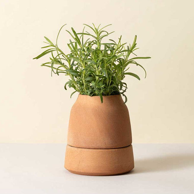 Bergs Potter Viva Self-Watering Pot