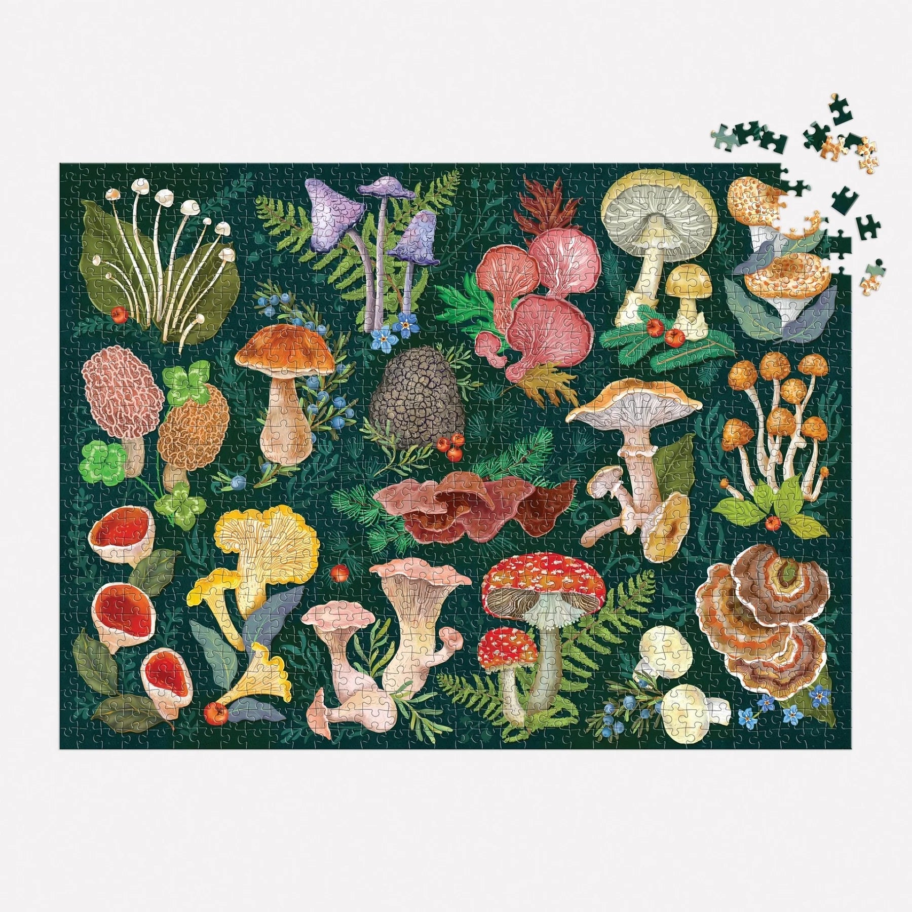 World of Mushrooms Jigsaw Puzzle | 1000 Piece