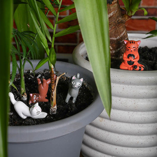 Mini Plant Pot Yoga Cats