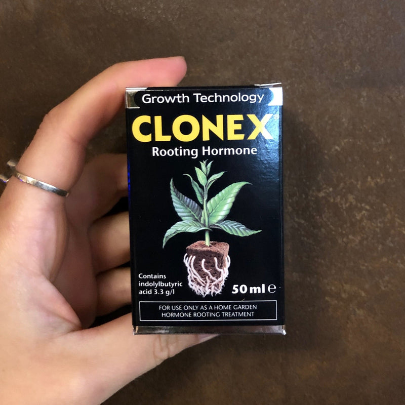 Clonex Rooting Hormone - grow urban. UK