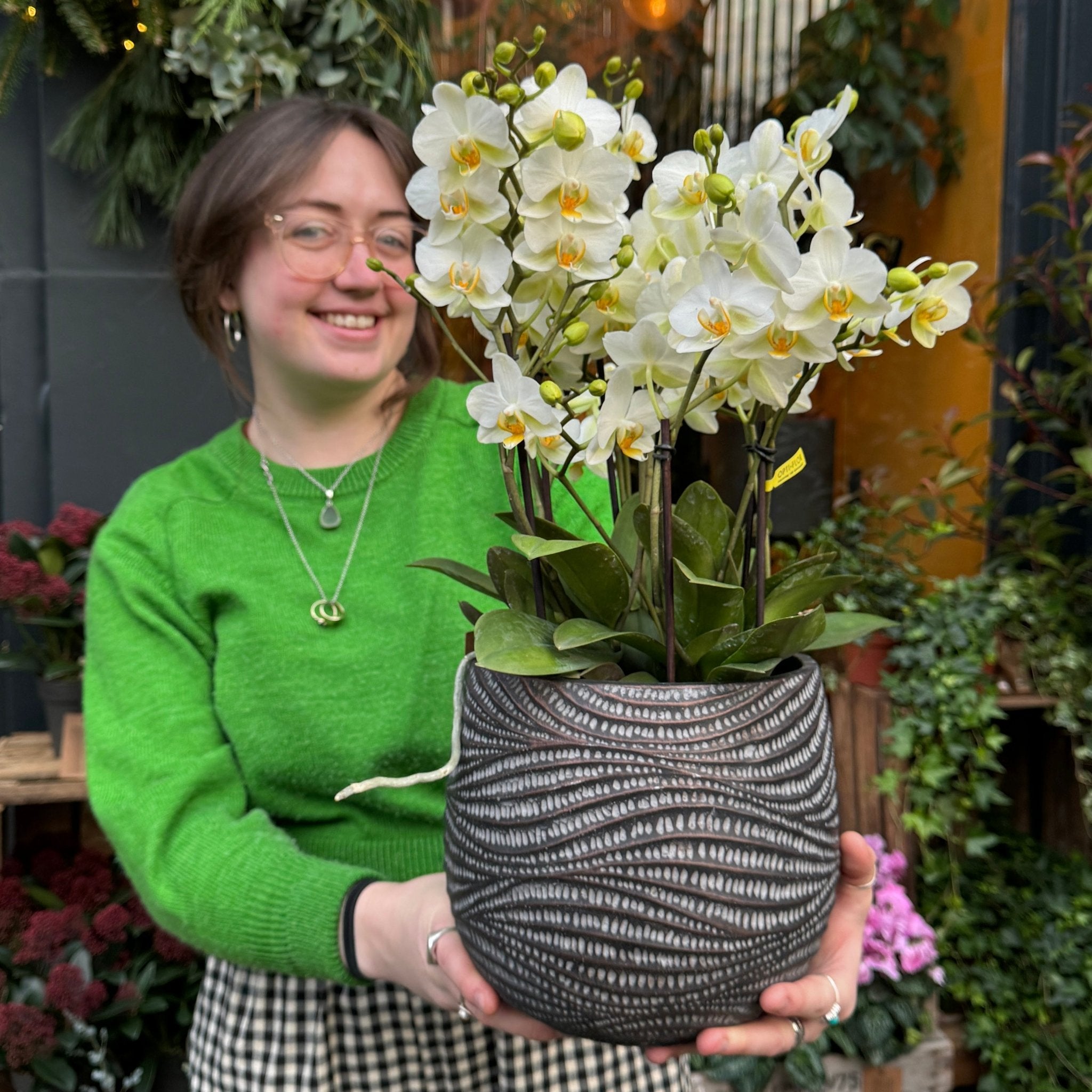 Deluxe Orchid & Pot Bundle - grow urban. UK