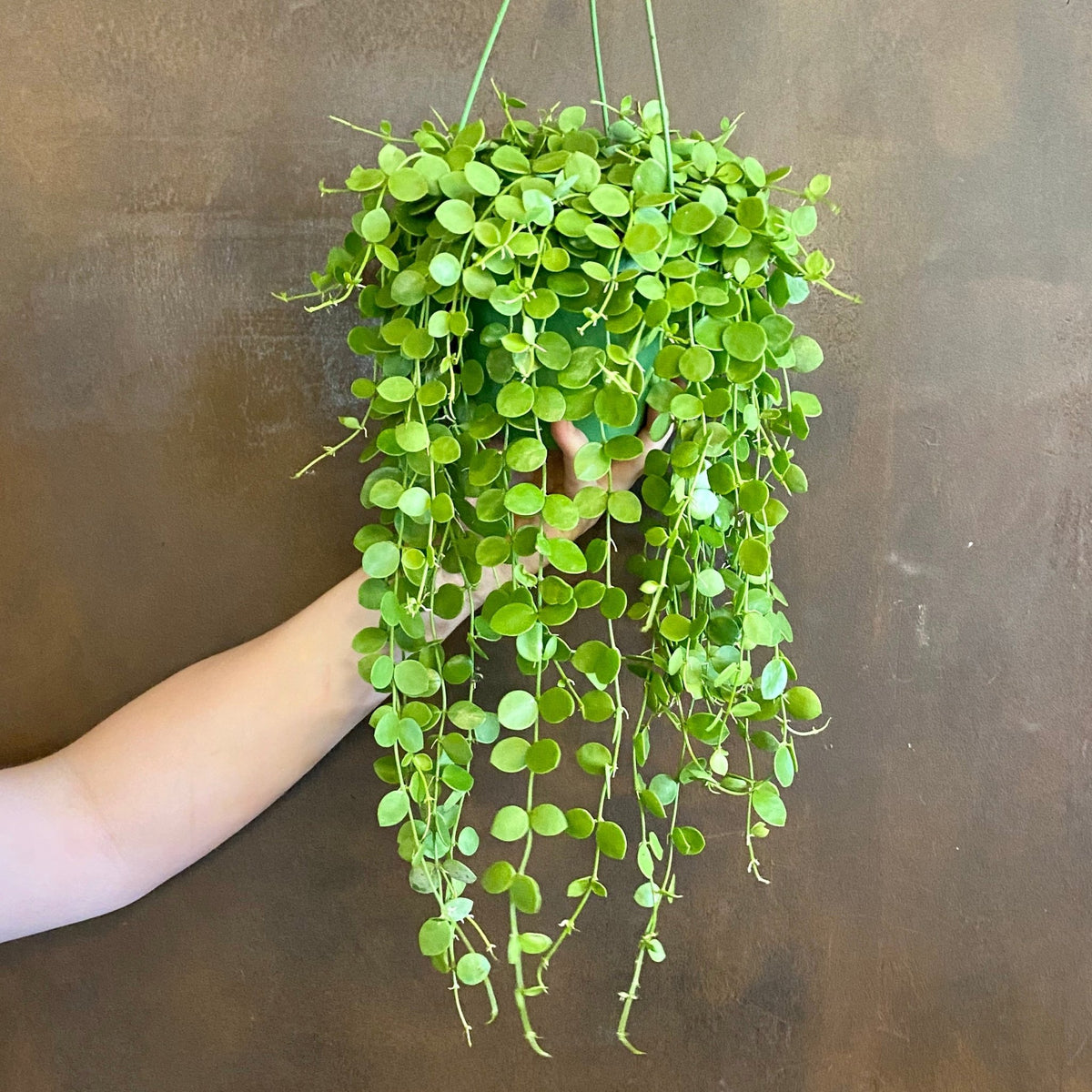String of Nickels