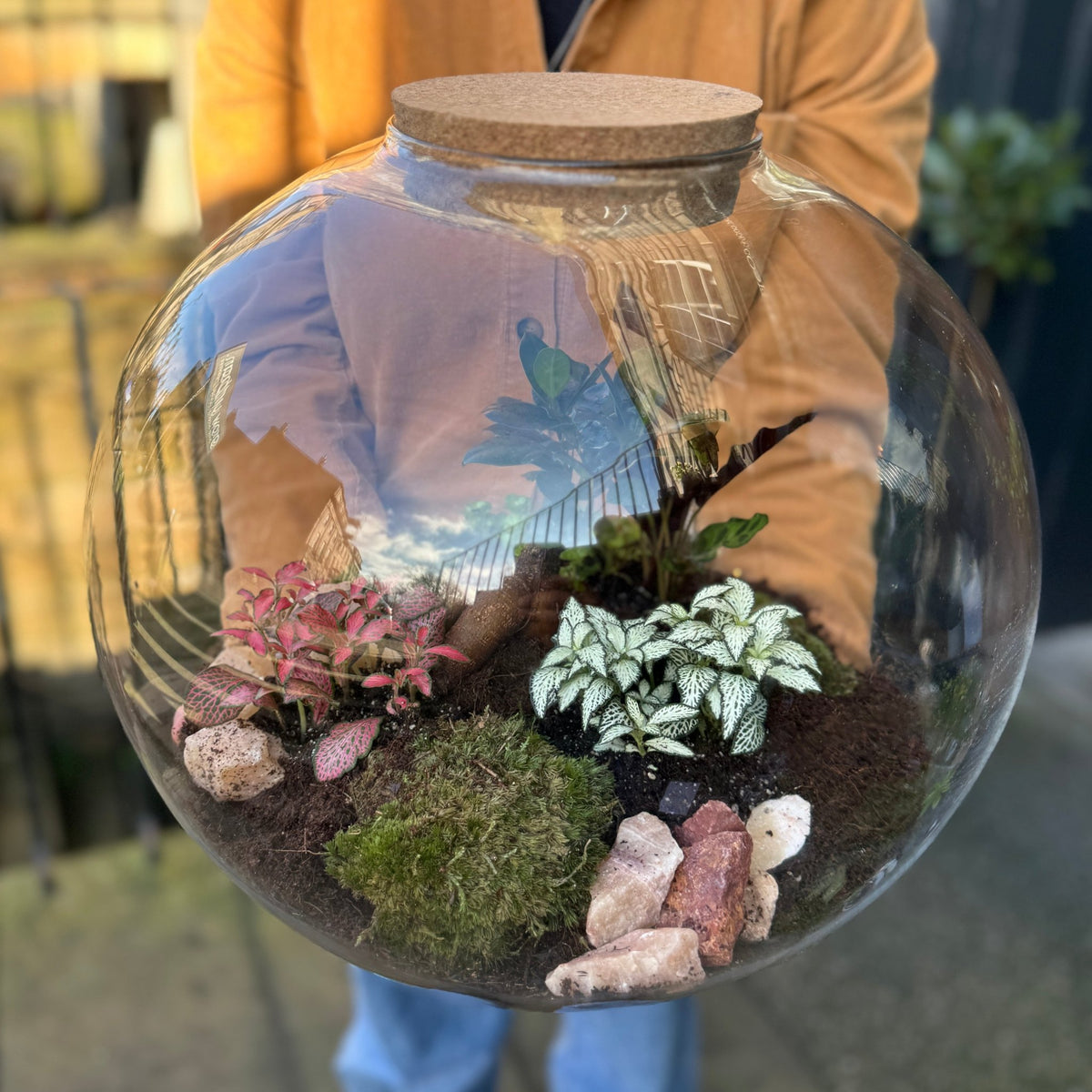 large glass plant terrarium Giant Terrarium