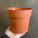 Growing Pot - Individual - grow urban. UK