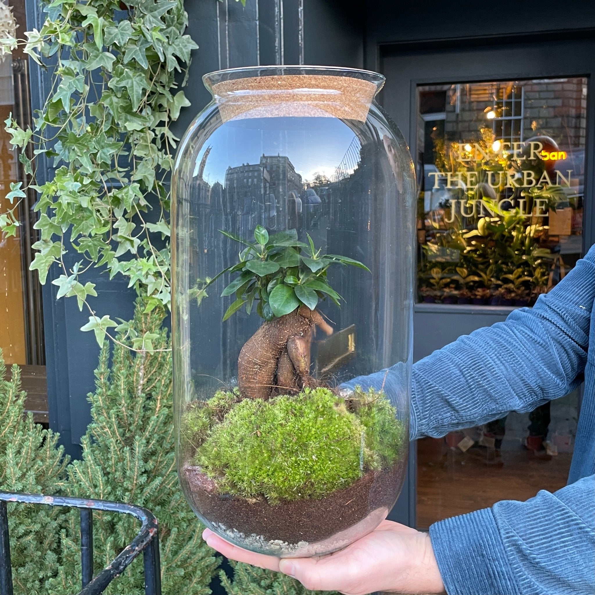 Large Bonsai Terrarium - grow urban. UK