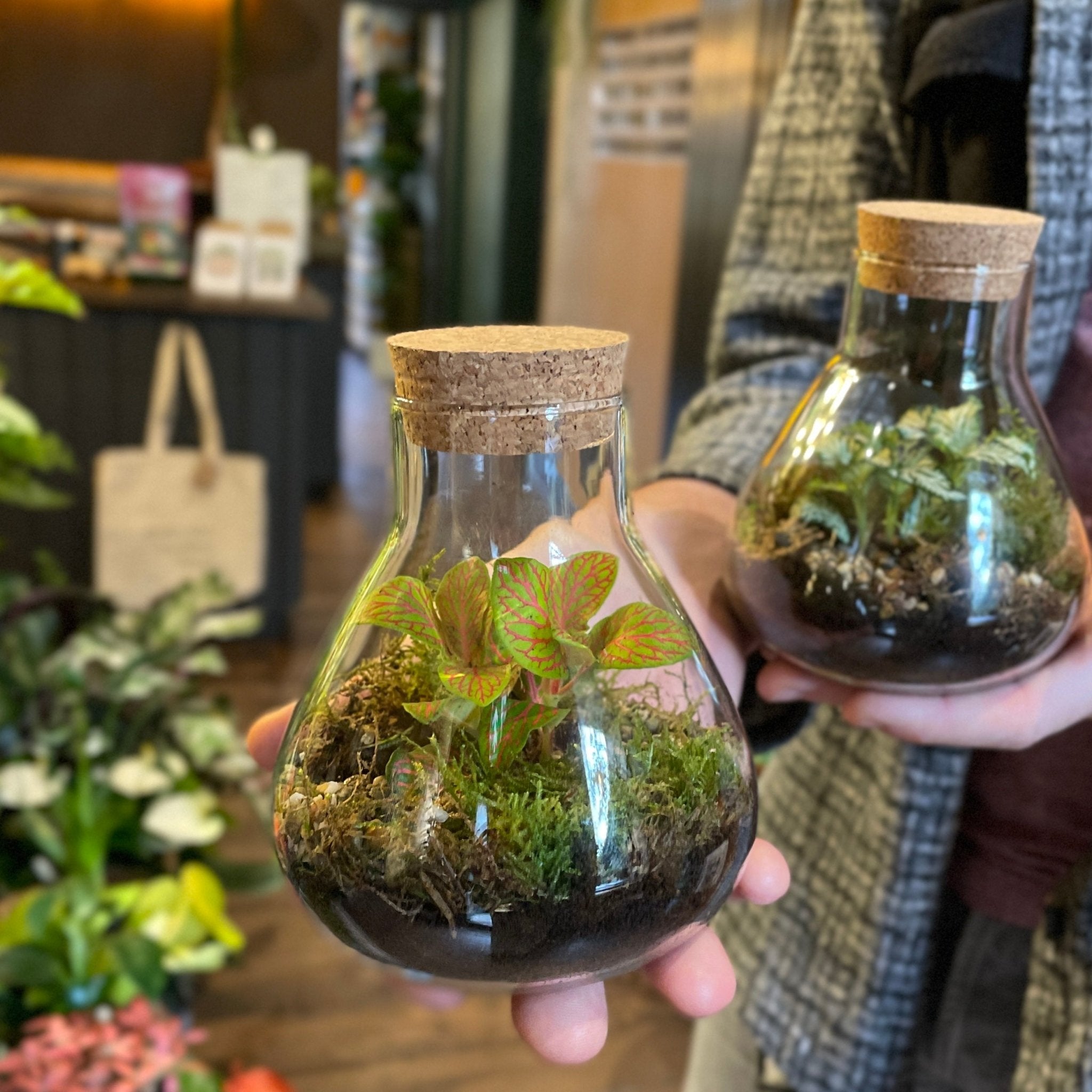 Mini Flask Terrarium - grow urban. UK