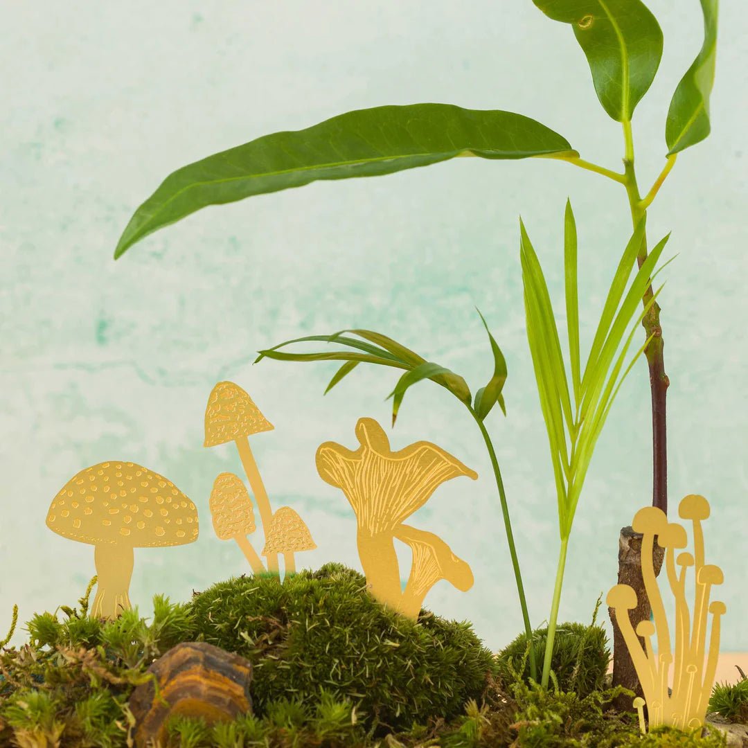 Mini Mushrooms | Brass - grow urban. UK
