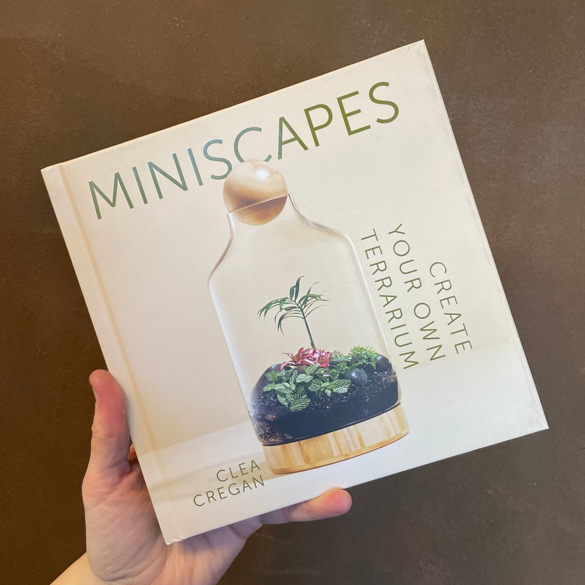 Miniscapes: Create your own terrarium - grow urban. UK