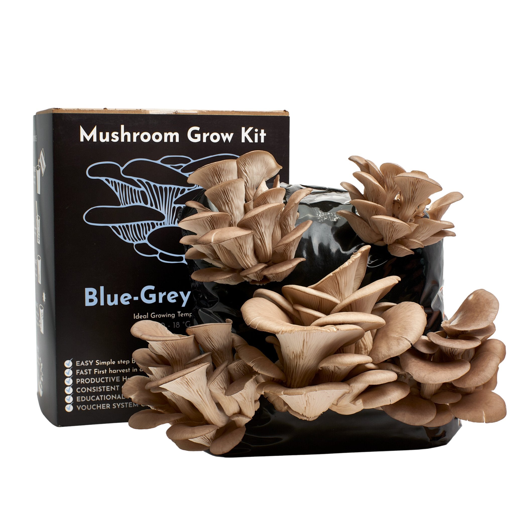 Mushroom Grow Kit | Urban Farm-It - grow urban. UK