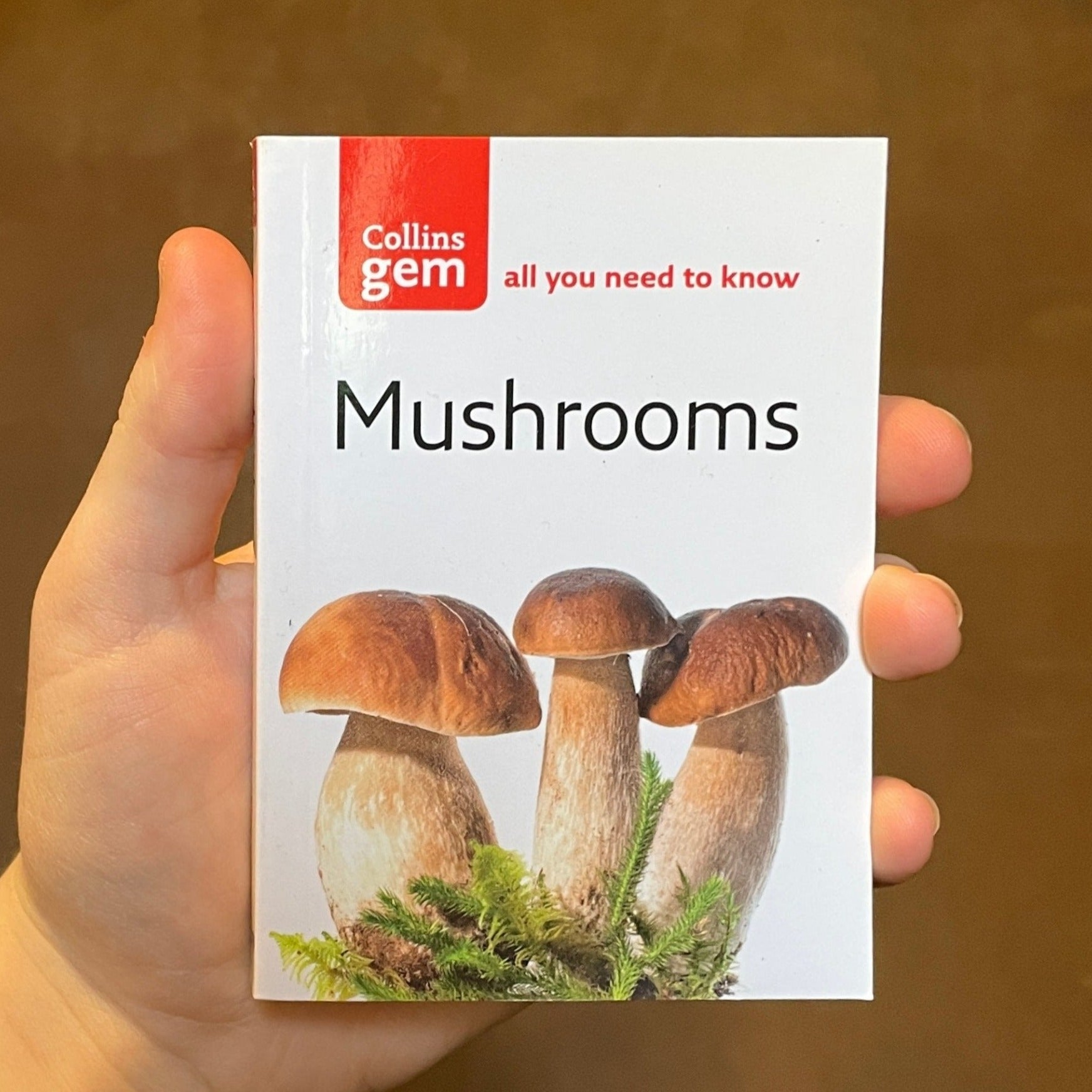 Mushrooms: All You Need To Know - grow urban. UK