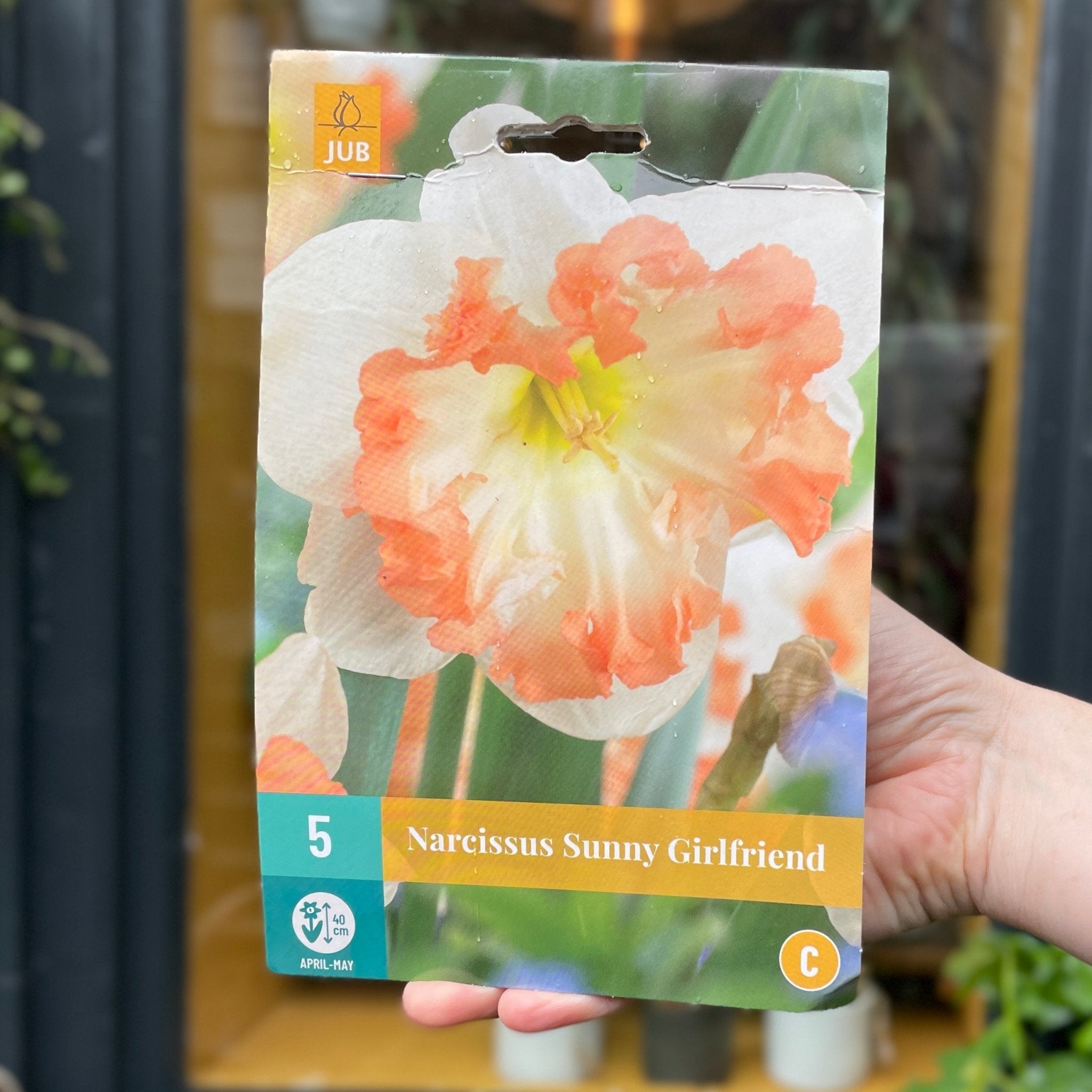 Narcissus Bulbs for Autumn Planting - grow urban. UK