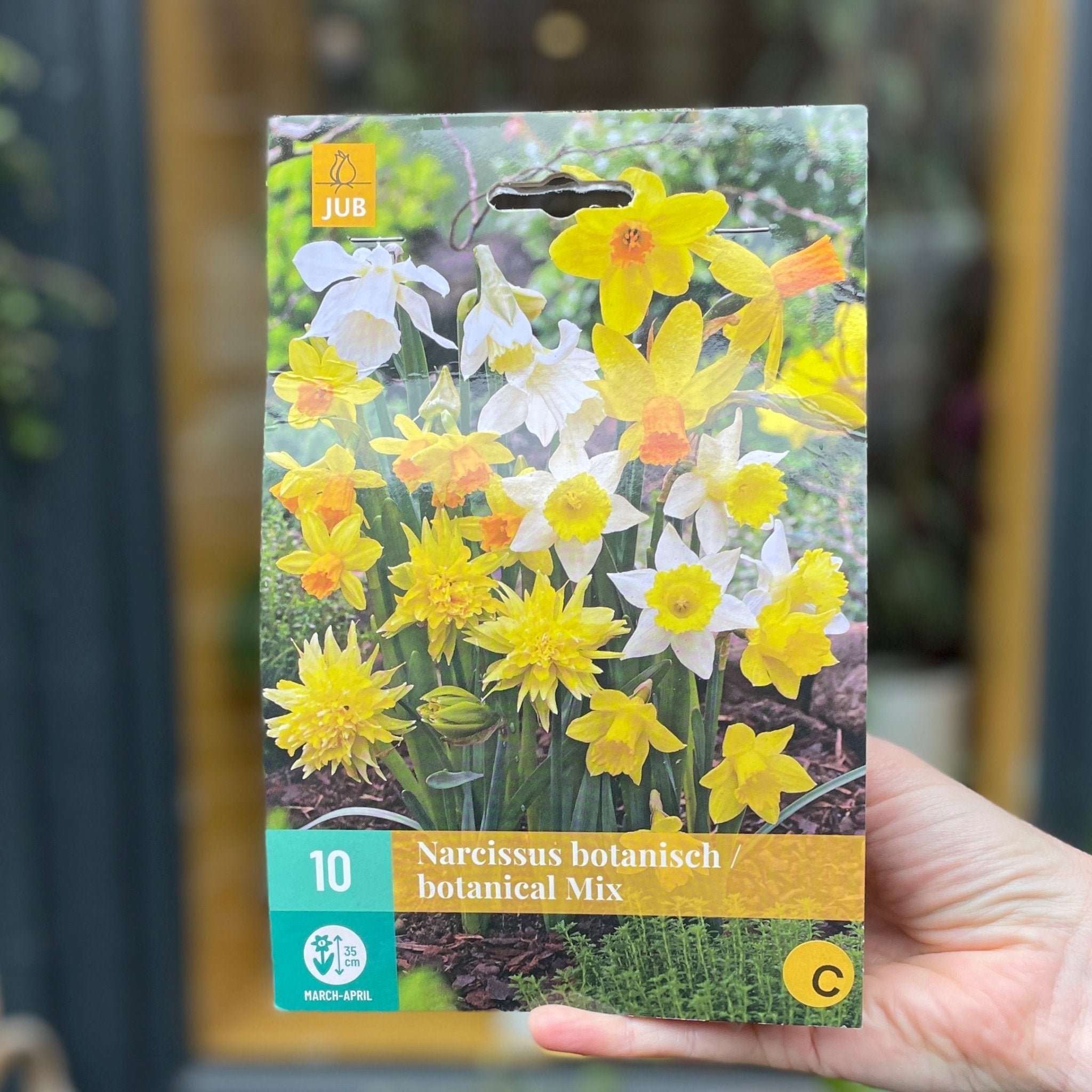Narcissus Bulbs for Autumn Planting - grow urban. UK