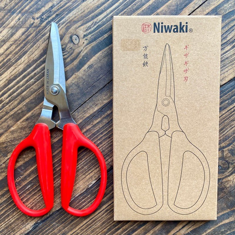 Niwaki Utility Scissors grow urban. Edinburgh