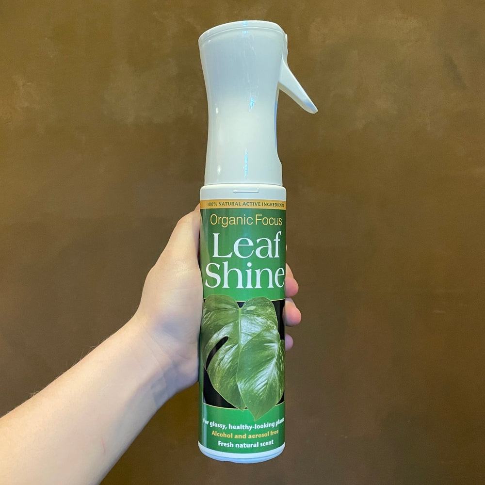 Organic Focus Leaf Shine Spray grow urban. Edinburgh