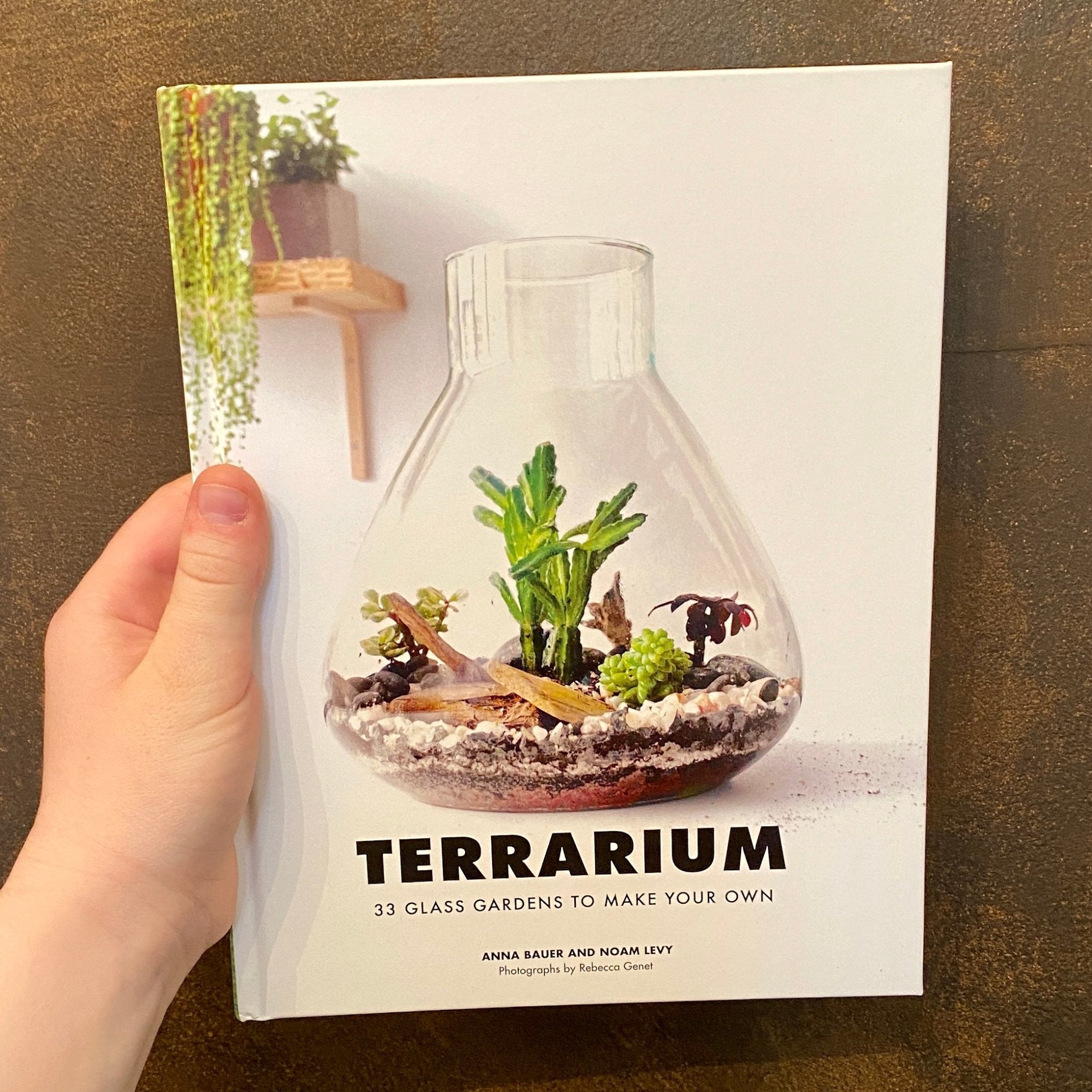 Terrarium: 33 Glass Gardens to Make Your Own - grow urban. UK