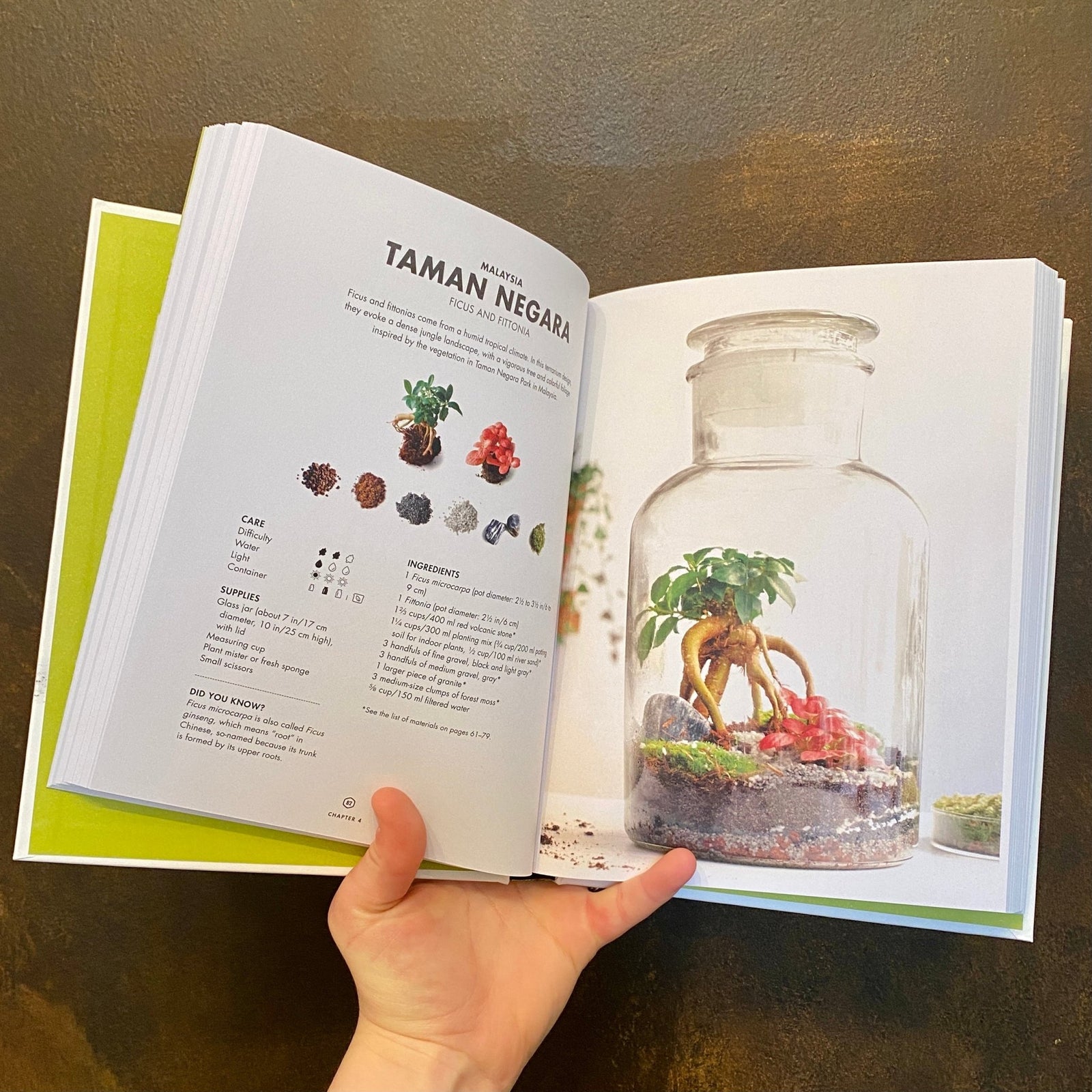 Terrarium 33 Glass Gardens to Make Your Own grow urban. Edinburgh