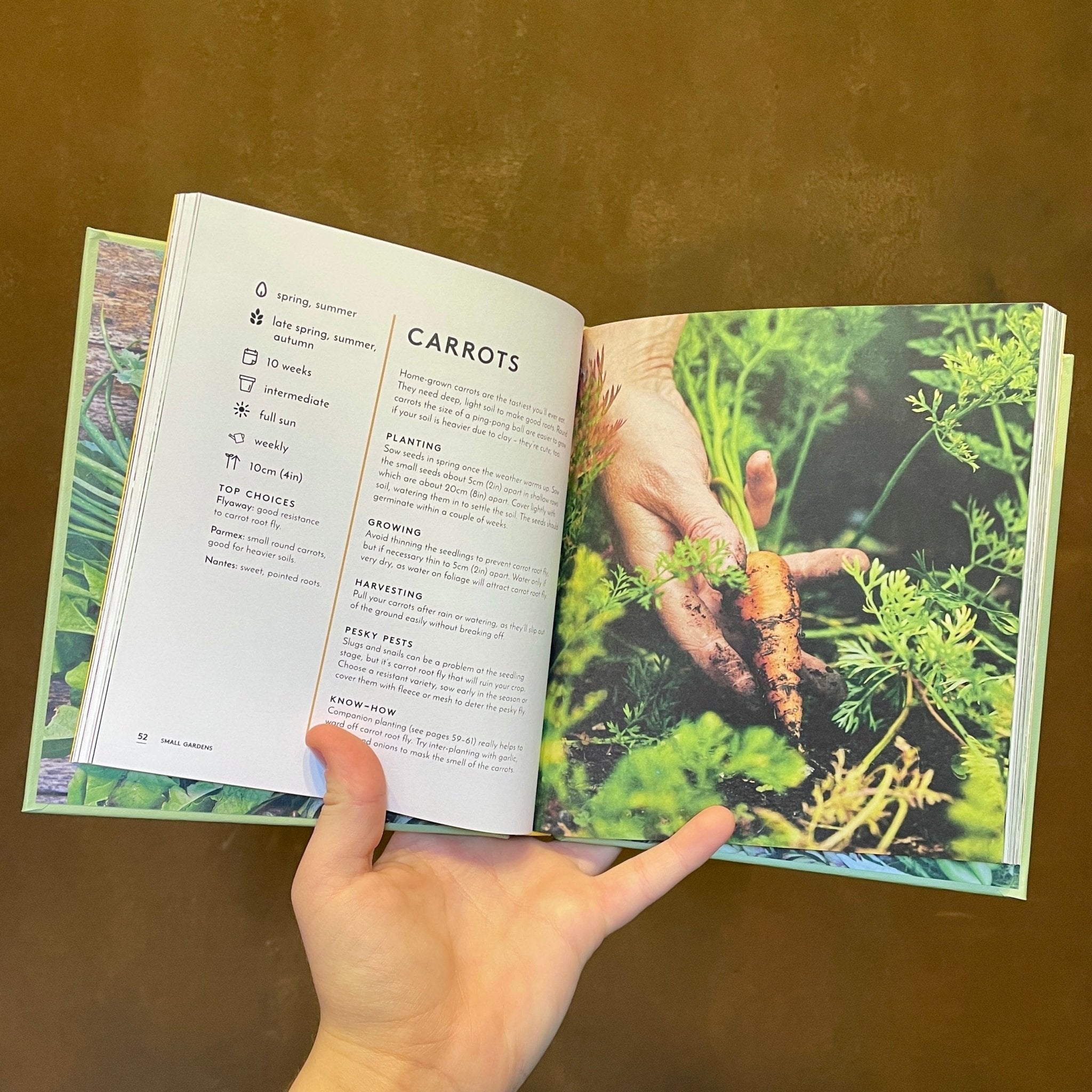The Little Book of Crops in Small Spots: A Modern Guide to Growing Fruit and Veg - grow urban. UK