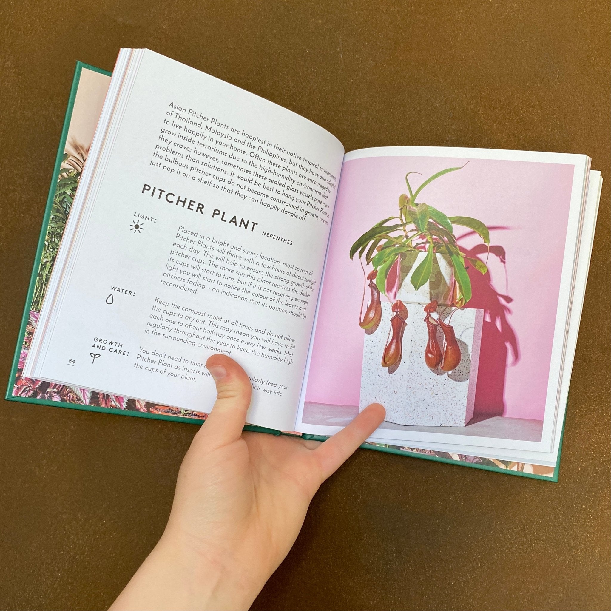 The Little Book of House Plants & Other Greenery - grow urban. UK