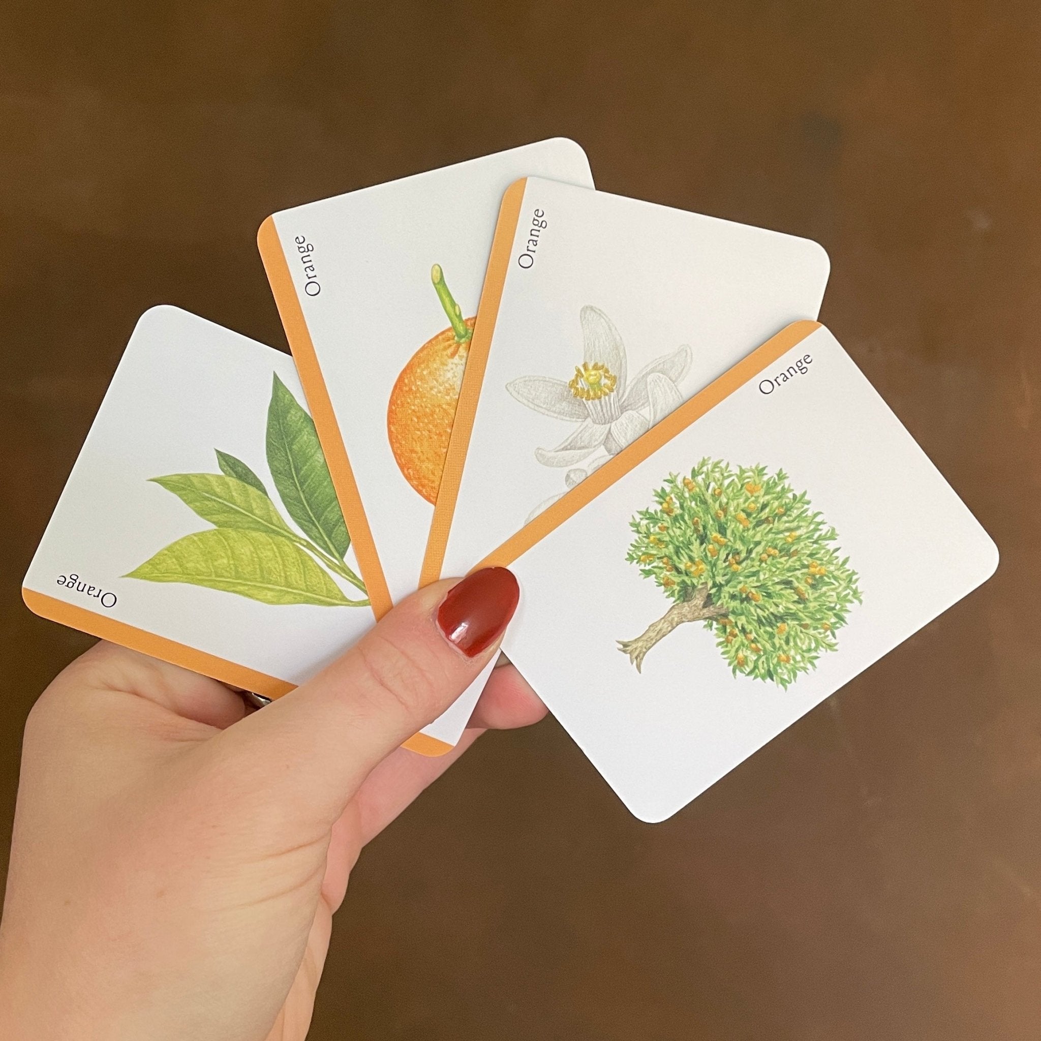 Tree Families | A Botanical Card Game - grow urban. UK