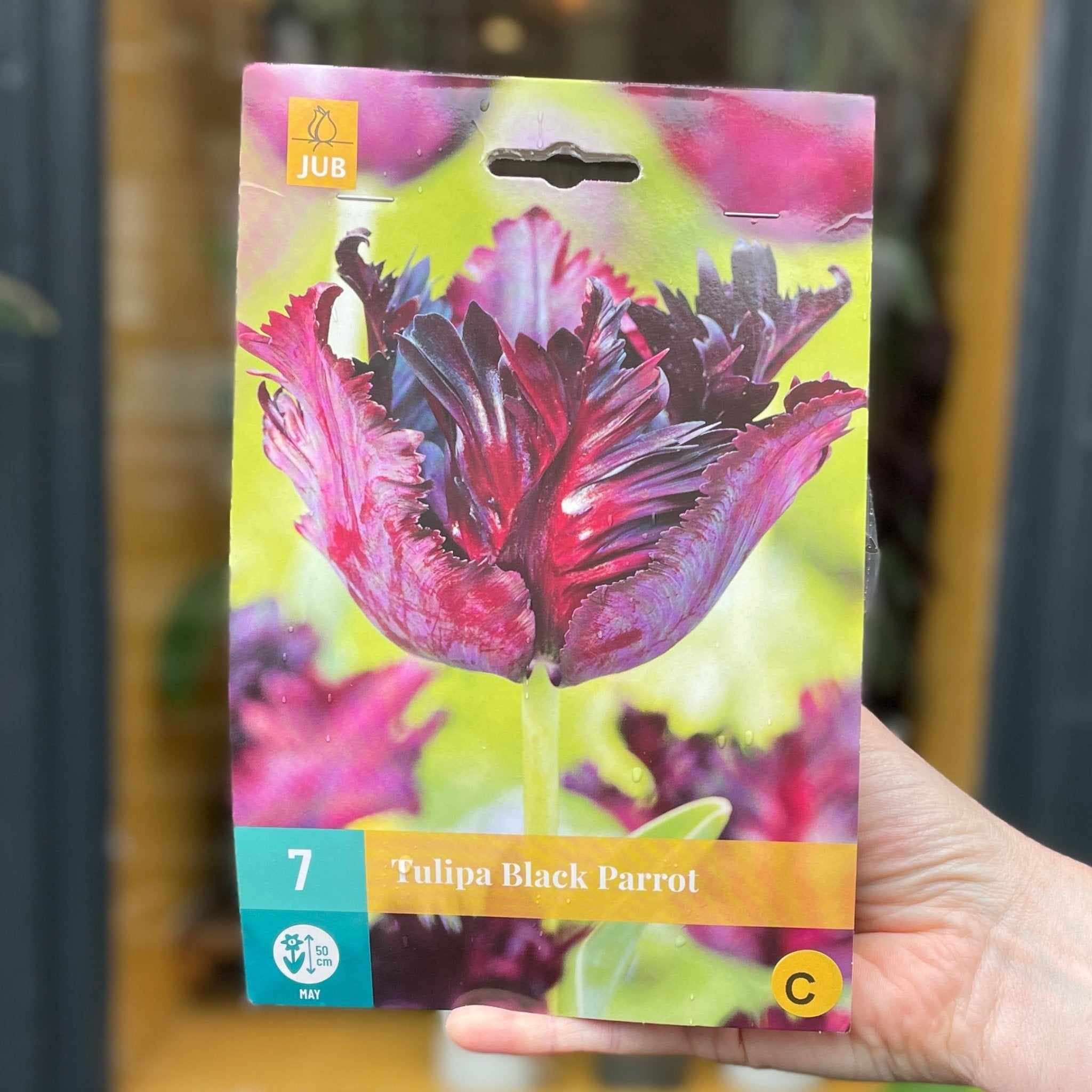 Tulip Bulbs for Autumn Planting - grow urban. UK