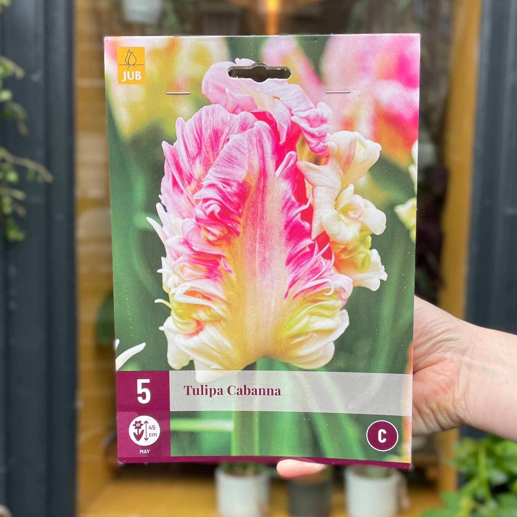 Tulip Bulbs for Autumn Planting - grow urban. UK